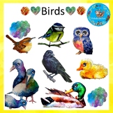 Birds and Bird Types Clipart Set 2 {Watercolour Animal Sci