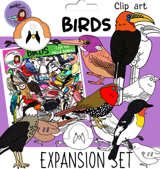 Preview of Birds clip art - expansion set