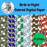 Birds in Flight Colored Digital Paper for Craft Projects w