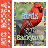 Birds in Your Backyard Reading Book