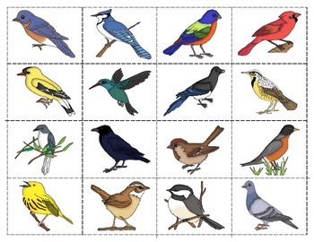 Preview of Birds:  mini Matching and Vocabulary Enrichment Cards