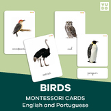 Birds nomenclature cards, Montessori learning (English and