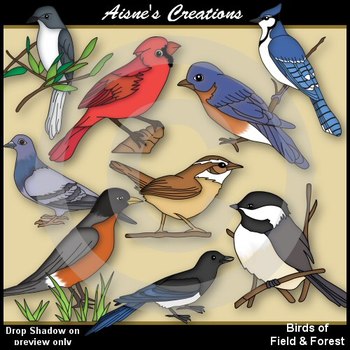 Preview of Birds of Field & Forest Clipart