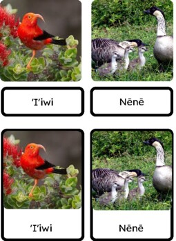 Preview of Birds of Hawai'i 3 part cards