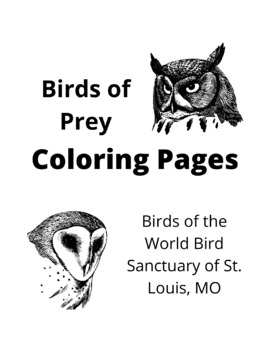 Birds of Prey unit study  Bird unit study, Birds of prey, Owl coloring  pages