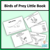 Birds of Prey Little Book - Reading Comprehension