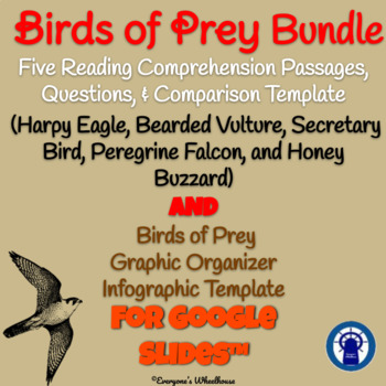 Preview of Birds of Prey Readings, Infographic, & More Bundle for Google Slides™