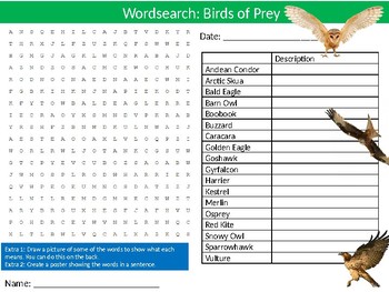 Birds of Prey Wordsearch Puzzle Sheet Keywords Animals Biology Predators
