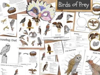 Preview of Birds of Prey unit: the ultimate collection of raptor learning materials