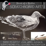Birds of a Feather Scratchboard Drawing - High School Art Lesson