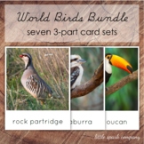 Birds of the World 3-Part Card Bundle, Montessori Nomencla