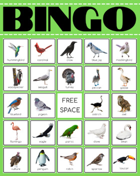 Kompl.-Satz BPZ Bingo Birds 