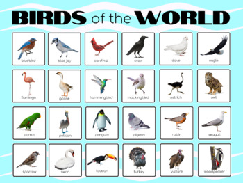 Preview of Birds of the World Poster