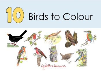 Preview of Birds to Colour Science