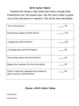Preview of Birth Defect Project: PowerPoint Project/Rubric 