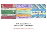 Birth Defect Stepbook or Flipbook