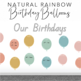Birthday Balloons Display Posters - Natural Rainbow