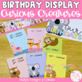 Birthday Display Editable | Curious Creatures Classroom Decor