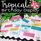 Birthday Display Editable Tropical Classroom Decor