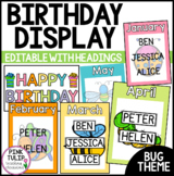 Birthday Display - Rainbow Bug Theme