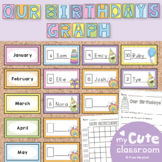 Birthday Display and Graphing Activity