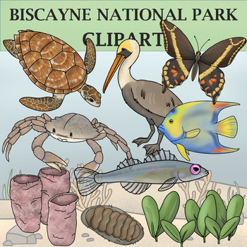 Preview of Biscayne National Park Clipart - Plants and Animals of the National Parks