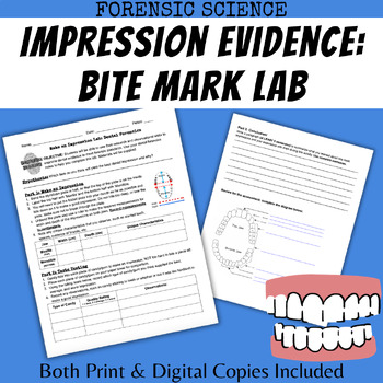 Preview of Bite Mark Lab: Impression Evidence Experiment Forensic Science lesson