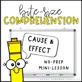 Cause & Effect | Reading Comprehension Lesson | PowerPoint