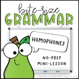 Homophones | Grammar Mini-Lesson | PowerPoint & Google Slides