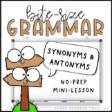 Synonyms & Antonyms | Grammar Mini-Lesson | PowerPoint & G