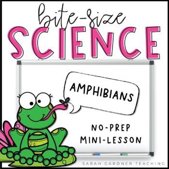 Preview of Amphibians | Science Mini-Lesson | PowerPoint & Google Slides