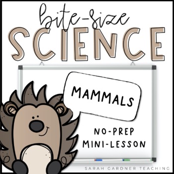 Preview of Mammals | Science Mini-Lesson | PowerPoint & Google Slides