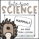 Mammals | Science Mini-Lesson | PowerPoint & Google Slides