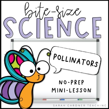 Preview of Pollinators & Pollination | Science Mini-Lesson | PowerPoint & Google Slides