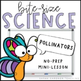 Pollinators & Pollination | Science Mini-Lesson | PowerPoi