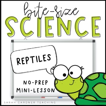 Preview of Reptiles | Science Mini-Lesson | PowerPoint & Google Slides