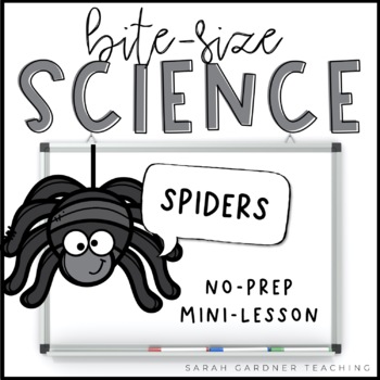 Preview of Spiders | Science Mini-Lesson | PowerPoint & Google Slides