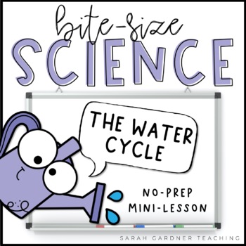 Preview of The Water Cycle | Science Mini-Lesson | PowerPoint & Google Slides