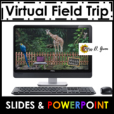 Zoo Virtual Field Trip [EDITABLE] Google Classroom Hybrid 