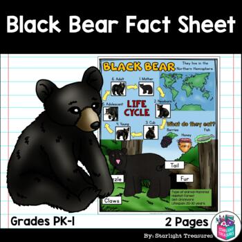 Preview of Black Bear Fact Sheet for Early Readers - Animal Study