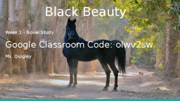 Preview of Black Beauty Complete Novel Study (4 Weeks)
