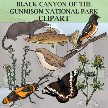 Preview of Black Canyon of the Gunnison National Park Clip Art  - Plants and Animals