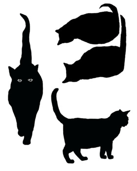 Black Cat Silhouettes With Transparent Background by Diana Clarke