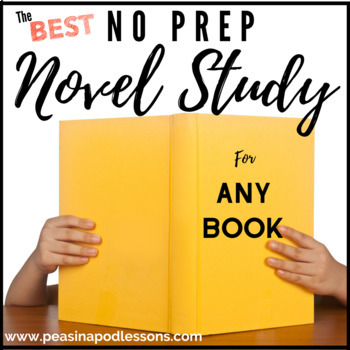 Preview of Generic Novel Study ANY Book Studies After State Testing Activities 3rd Grade +