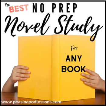 Preview of Generic Novel Study ANY Book Studies Summer School Activities 3rd Grade +