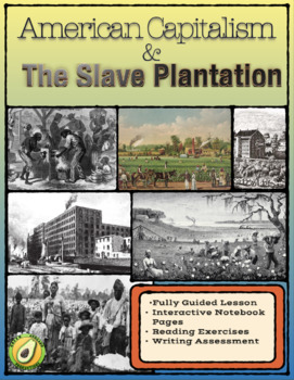Preview of American Capitalism and the Slave Plantation