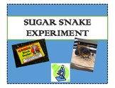 Black Snake Firework Experiment- Chemical Change