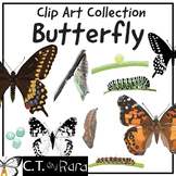 Black Swallowtail Butterfly and Painted Lady Butterfly Clip Art