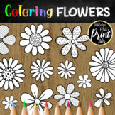 Black & White Coloring Clipart Daisy Flowers