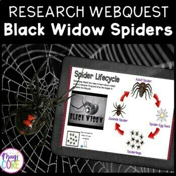 Preview of Black Widow Spiders Research WebQuest Activity Nonfiction Text Features, Reading